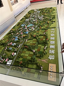 安徽雙港軟包小鎮(zhèn)規(guī)劃沙盤