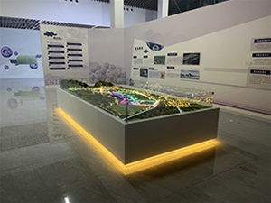 安徽懷寧藍莓小鎮(zhèn)規(guī)劃沙盤