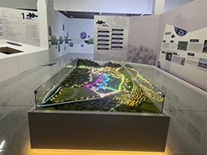 安徽懷寧藍莓小鎮(zhèn)規(guī)劃沙盤