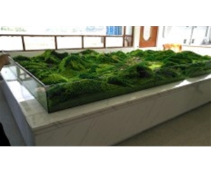 咸寧美麗谷健康小鎮(zhèn)