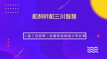 兩家儀器儀表企業(yè)榮獲工信部服務(wù)型制造示范稱號(hào)，引領(lǐng)信息系統(tǒng)集成服務(wù)新篇章